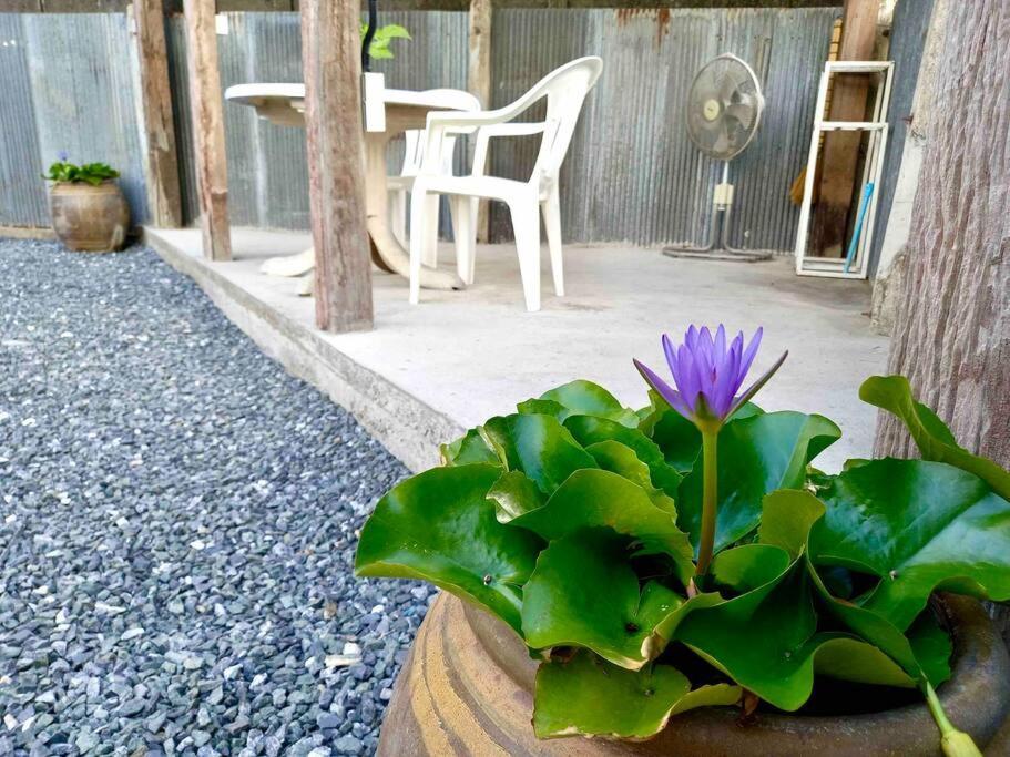 Grandma'S House Villa เชียงใหม่ ภายนอก รูปภาพ